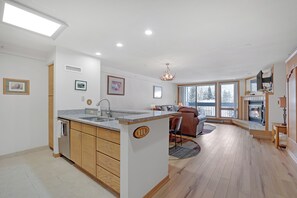 Interior - Peru Lift Cozy Condo! (Keystone)