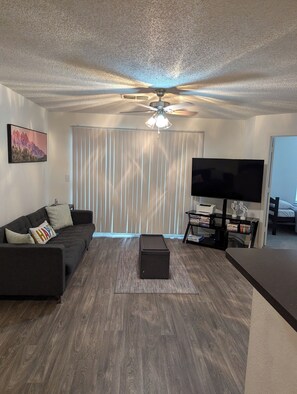 Living area - Disney world area vacation rental  (Orlando)