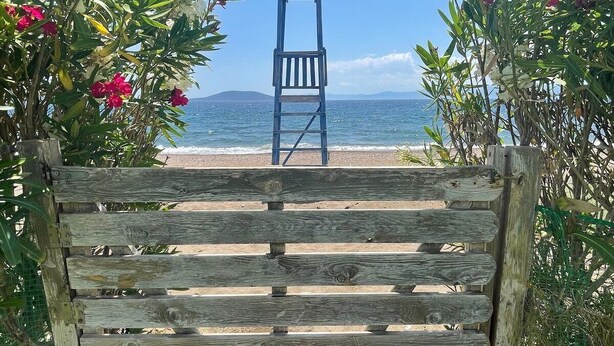 A wooden bench with a view of the sea and mountains in the background.