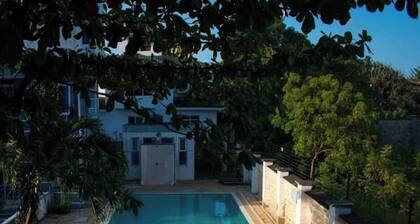 Shikara Bandari Suite