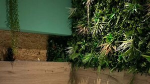 A bathtub filled with water and rose petals, surrounded by a wooden wall and greenery. - Apartment Cocoon jungle, romantic loveroom (Altkirch)