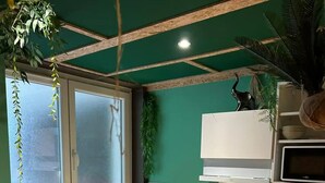 A compact kitchen with a built-in oven, a dishwasher, and a microwave. There is a window with a view of the outside, and the walls are painted green. - Apartment Cocoon jungle, romantic loveroom (Altkirch)