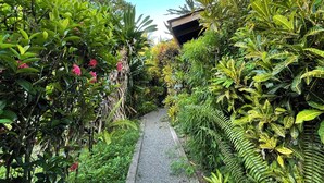 A pathway surrounded by lush greenery and a variety of plants. - Casa Yamann (Manzanillo)