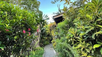 Jardín