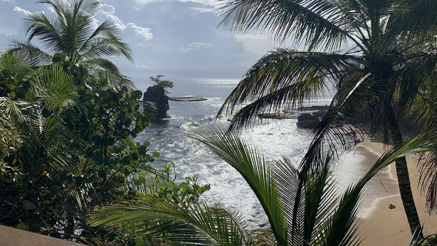A beach with palm trees and a rocky outcrop in the water. - Casa Yamann (Manzanillo)