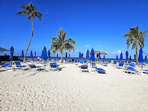 Sur la plage, chaise longue, serviettes de plage