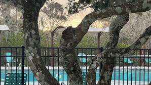 Un área de piscina con un deck de baldosas, rodeada de árboles con pintura descascarada.
