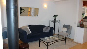 Smart TV, fireplace, books