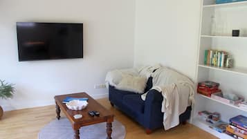 Smart TV, fireplace, books