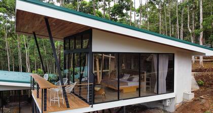 The time is ripe for a pure relaxation experience