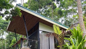 A modern house with a wooden deck, surrounded by lush greenery.