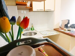 Fridge, microwave, stovetop, coffee/tea maker - The secret garden (Lucca)