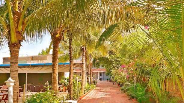 A pathway lined with palm trees and potted plants, leading to a building with a blue roof and outdoor seating. - The Moonlight Resort Indore (Sanwer)