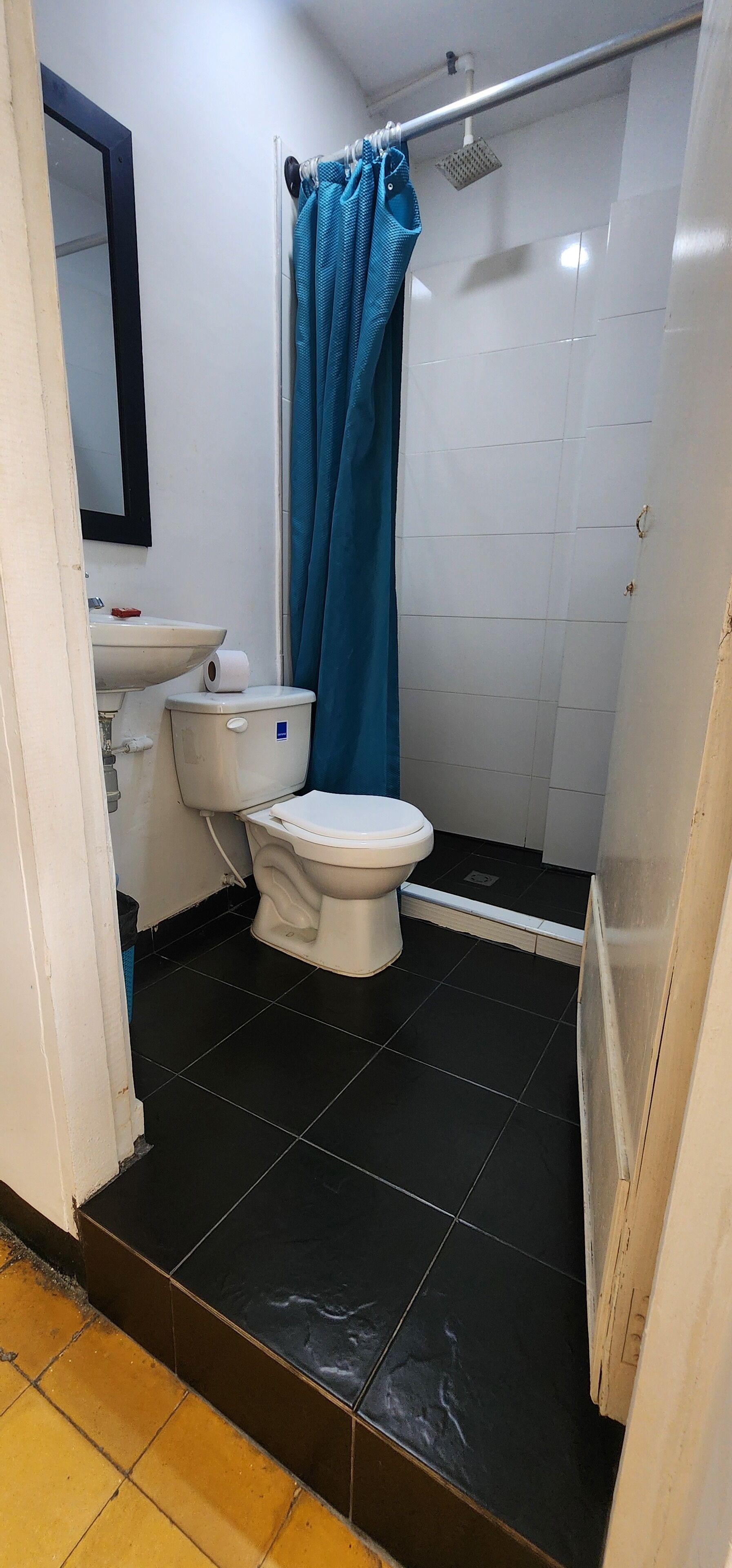 A bathroom with a toilet, sink, and shower curtain.