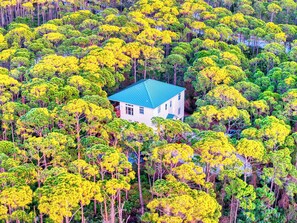 A house surrounded by dense, green forest.