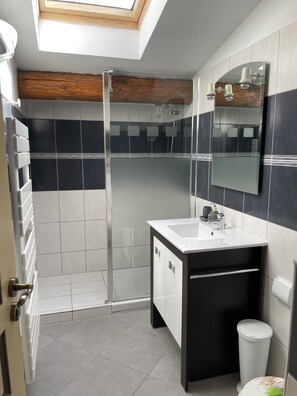 Shower, hair dryer, toilet paper