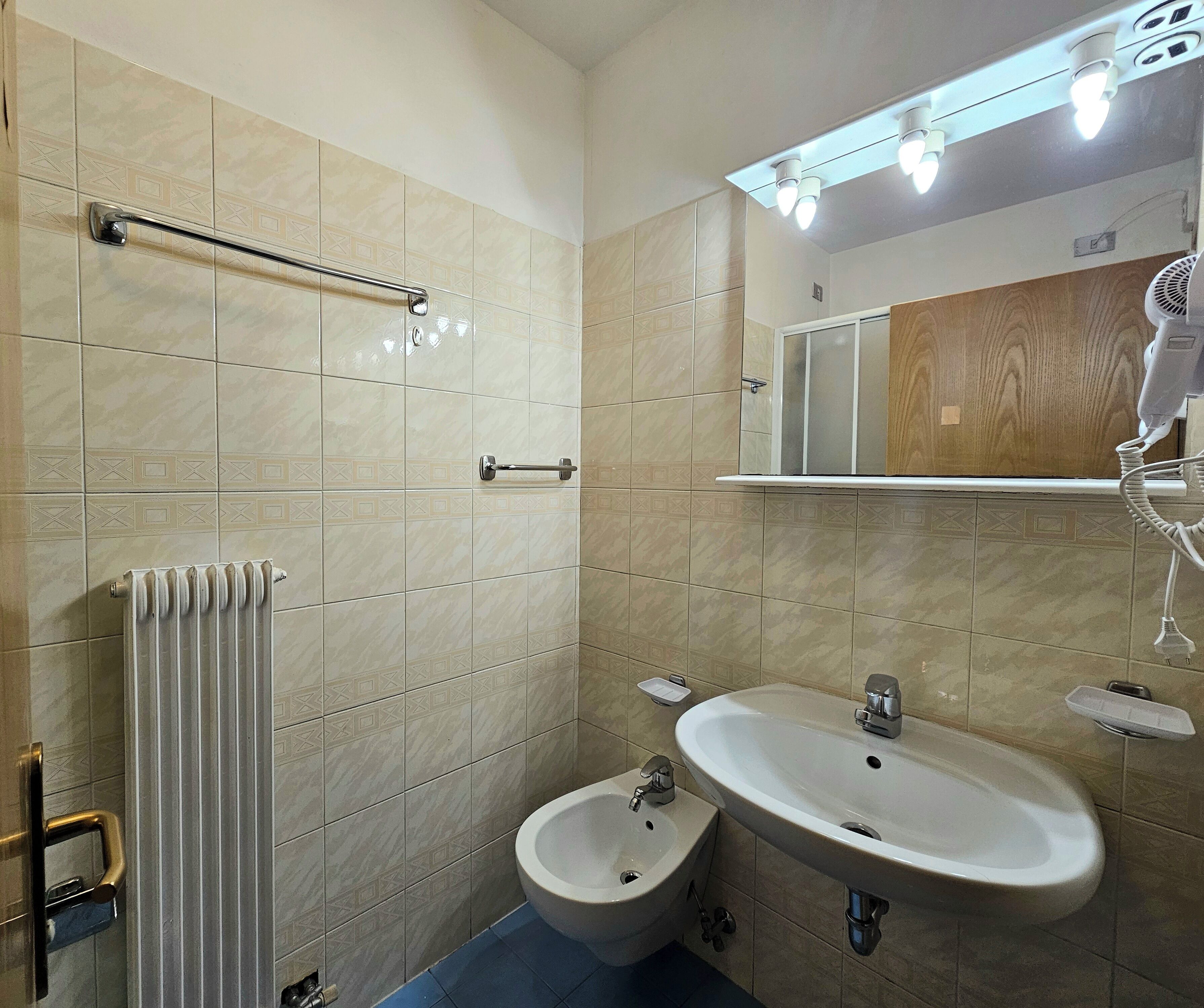 Shower, free toiletries, hair dryer, towels