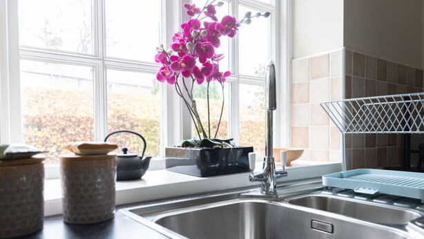 A kitchen with a stainless steel sink, a window with a view of trees, and a vase with pink flowers on the windowsill.