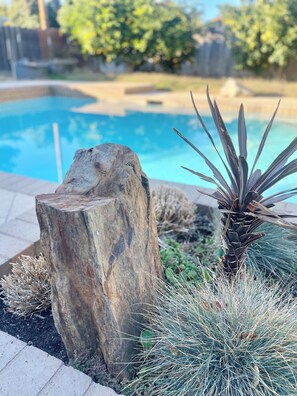 Felsformation, ein Kaktus und ein Pool in einer Gartenanlage.