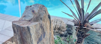 Spacious 4-bedroom family home with sparkling pool