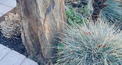 Spacious 4-bedroom family home with sparkling pool