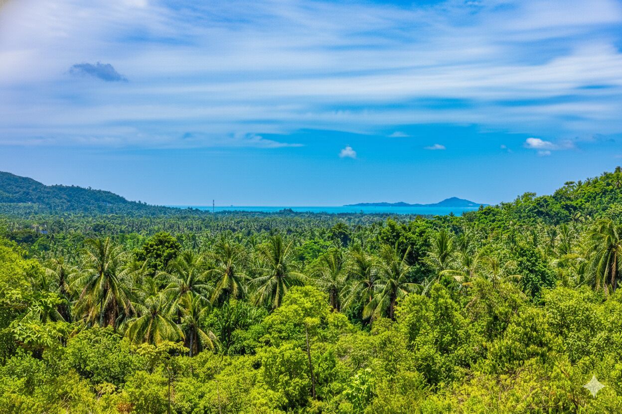 Un paisaje tropical con vegetación exuberante y palmeras.
