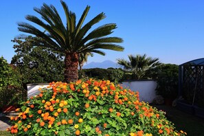 Property grounds - family apartment in the tranquility of Posillipo, a stone's throw from the sea (Napoli)