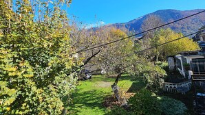 Un jardín con diversas especies de árboles y arbustos, un cielo azul despejado y una cadena montañosa distante.