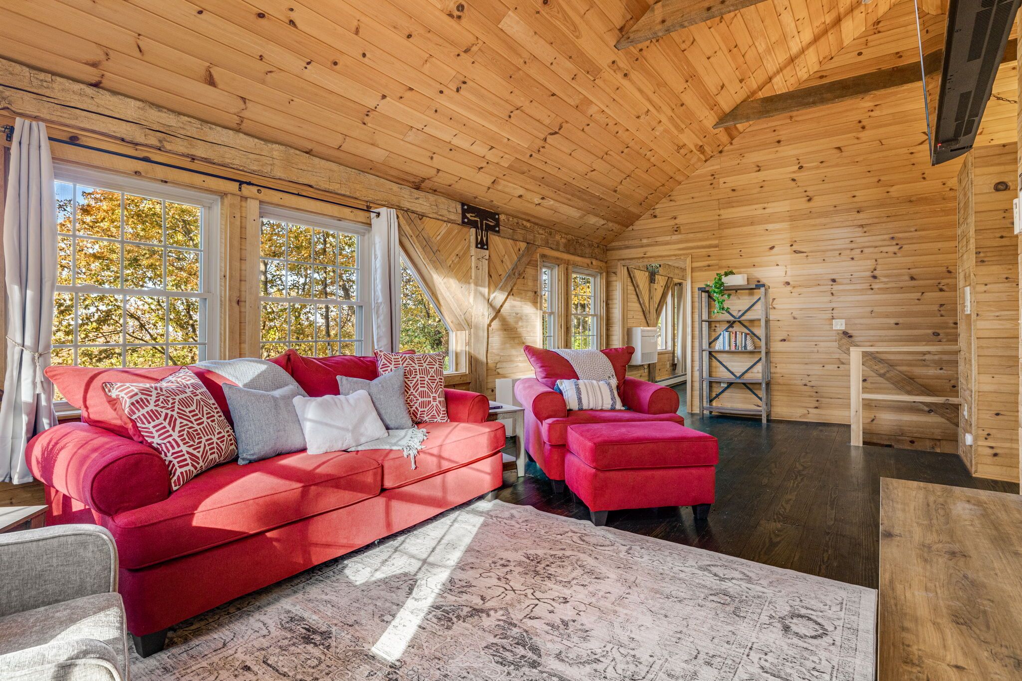 TV connectée, cheminée, livres