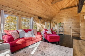 TV connectée, cheminée, livres