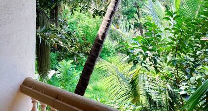 Charming 4-bedroom villa with AC and WiFi in marvelous Morjim