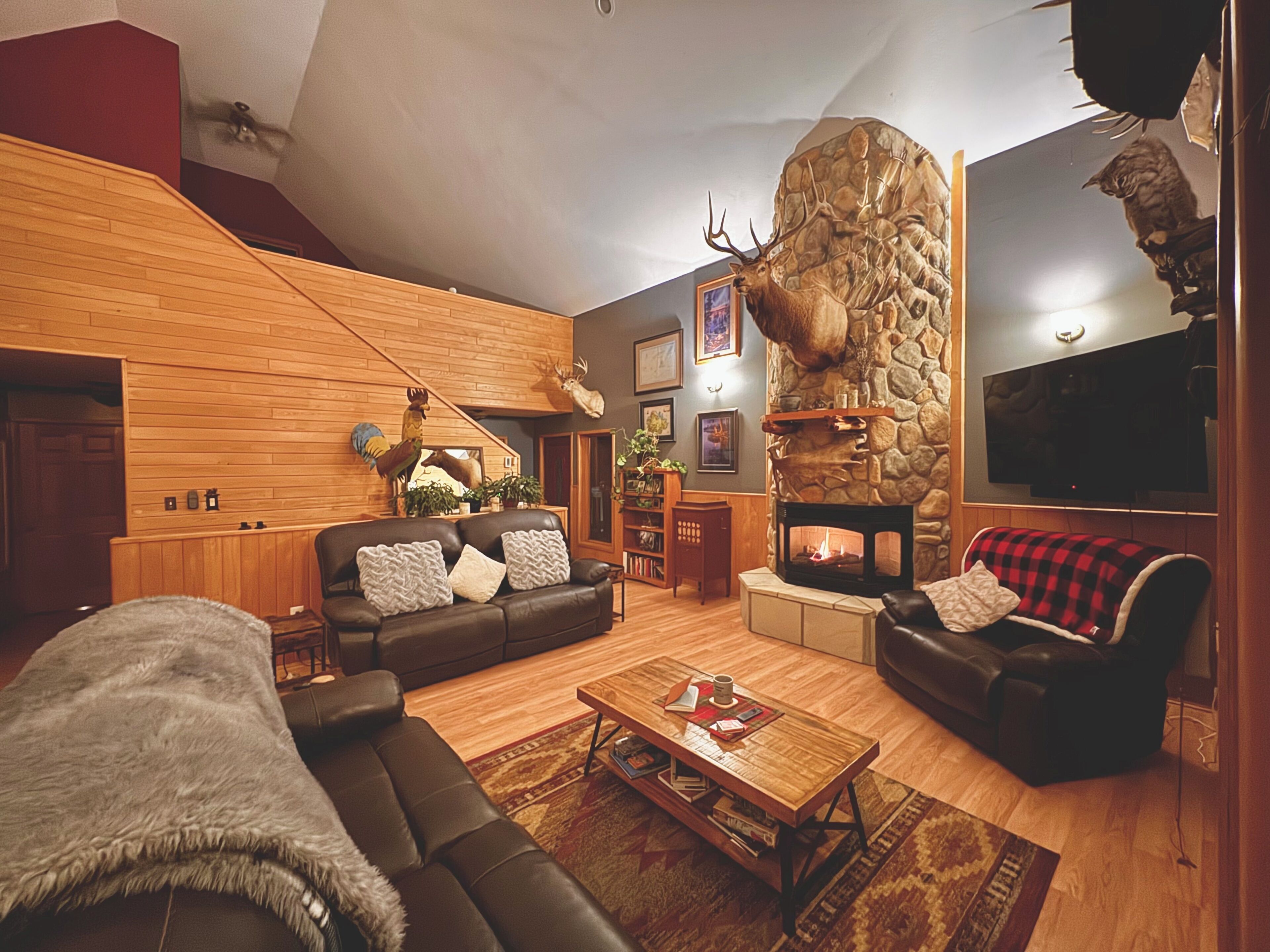 Smart TV, fireplace