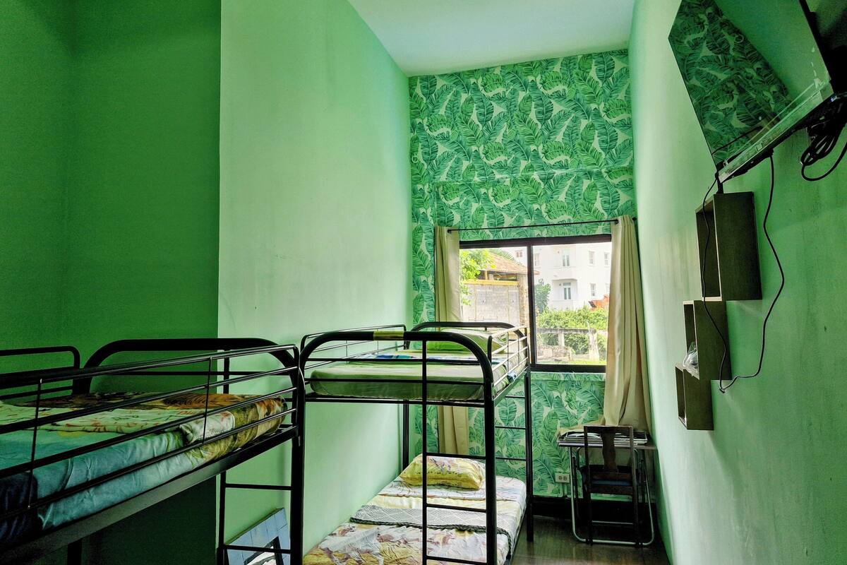 Un dormitorio con literas, una ventana con vistas y una pared con diseño verde.