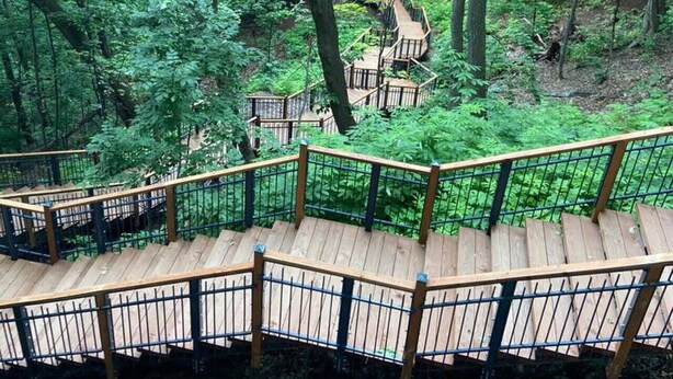 A wooden staircase surrounded by dense green foliage, leading to a higher level.