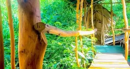 Nature Lovers family cottage - Double Room