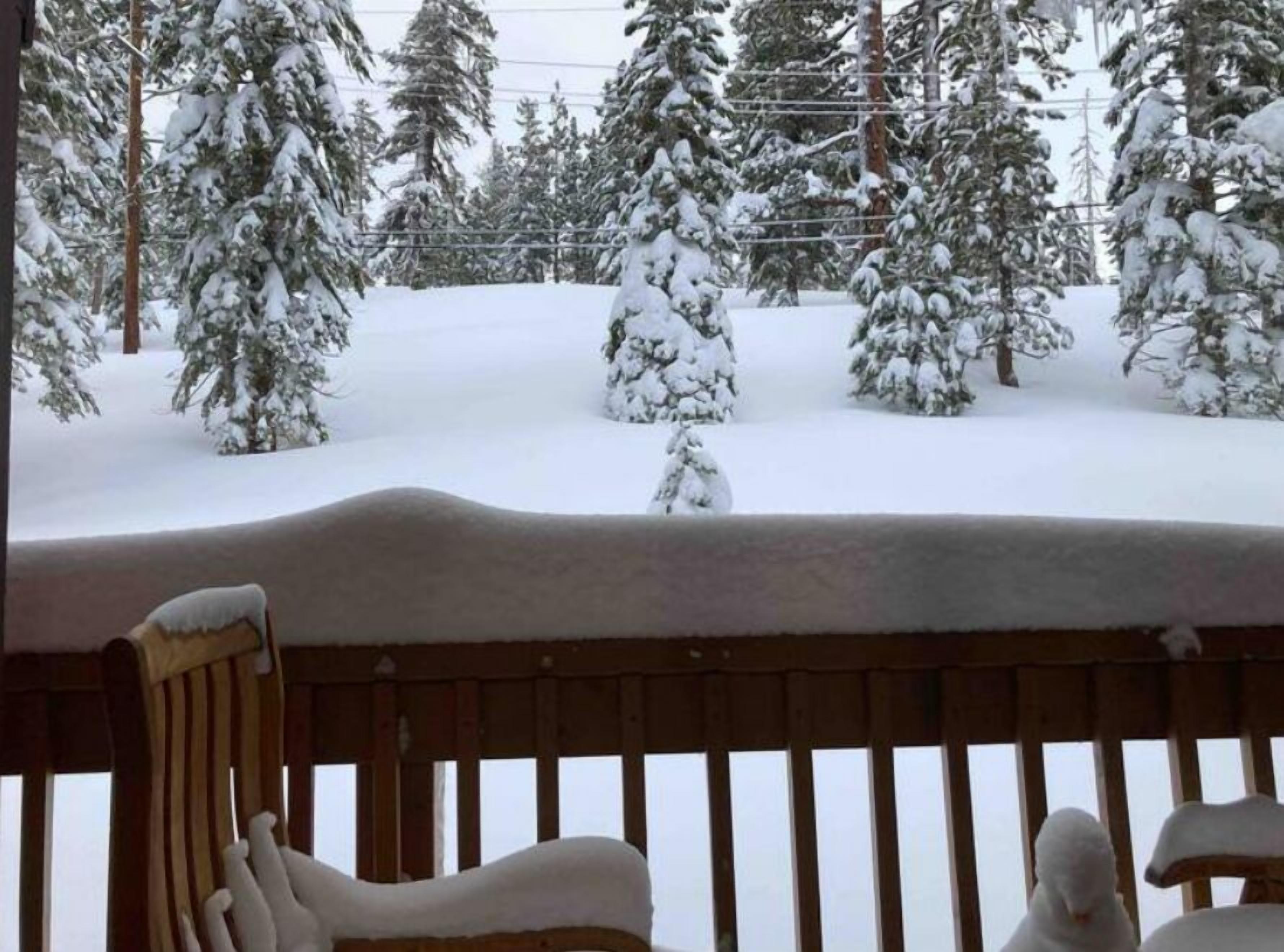 Een besneeuwd landschap met sneeuw bedekte bomen en een houten omheining.