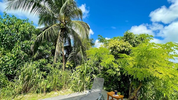 A patio with a lounge chair and a small table, surrounded by lush greenery and a palm tree. - New 2 bedroom house, Sainte-Anne (Sainte-Anne)