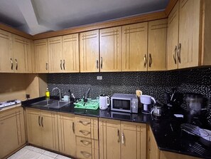 Private kitchen - Spacious & newly renovated apartment in central Addis Ababa (Addis Ababa)