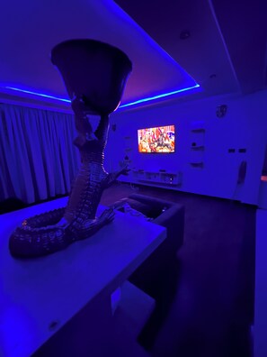 Interior - Spacious & newly renovated apartment in central Addis Ababa (Addis Ababa)