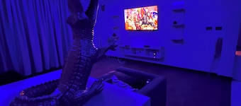 Spacious & newly renovated apartment in central Addis Ababa