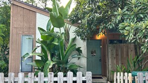Una casa de madera con puerta verde, cerca de madera y abundante vegetación alrededor.