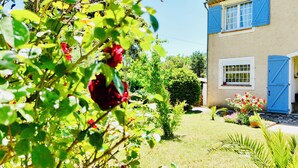 A garden with a variety of plants and flowers, a house with blue shutters, and a clear sky.