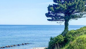 Un paysage côtier avec un arbre imposant sur une pente herbeuse, dominant la mer.