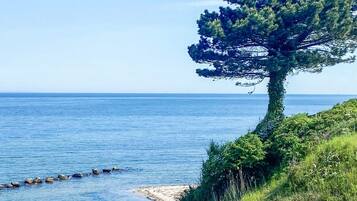 A coastal landscape with a prominent tree on a grassy slope overlooking the sea.