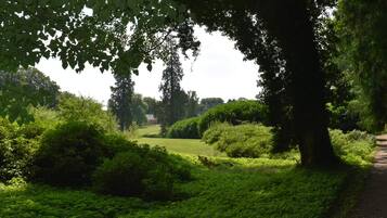 Casa | Área da propriedade