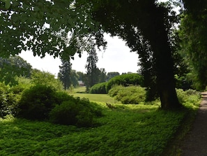 House | Property grounds