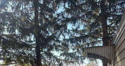 Woodlands Retreat next to the Mississippi River