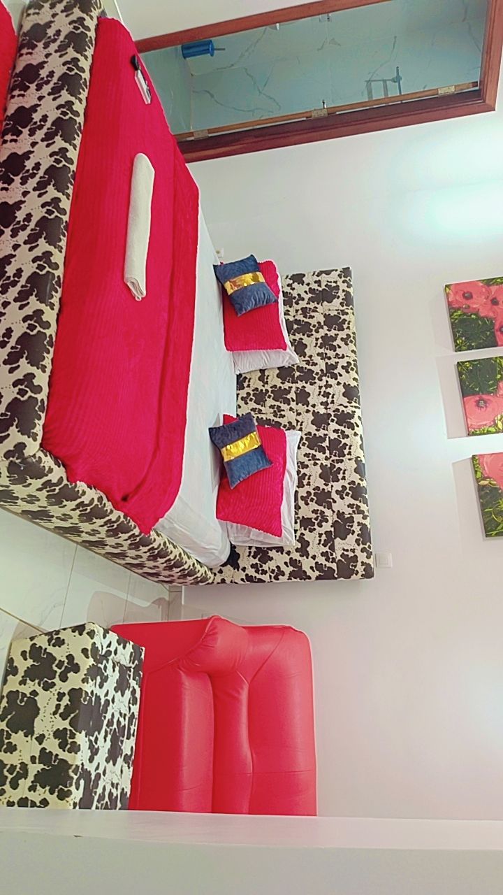 A room with a red bed, two pillows, a red sofa, and a patterned wall.