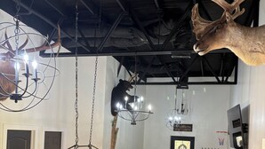 A billiards room with a pool table, multiple chandeliers, and a mounted deer head. - One of a kind 4-bedroom barndominium in Warsaw, Ohio on 23 wooded acres. (Warsaw)