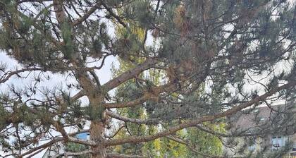 Messe Studio Suites Basel #1